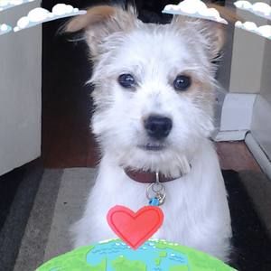 Meet your Posher, Effie